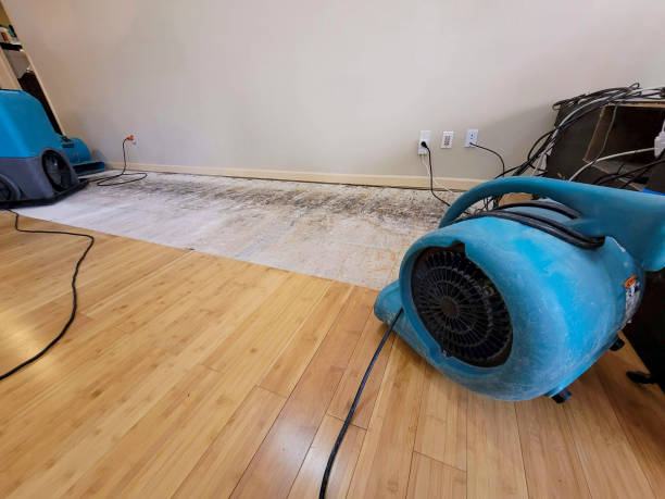 Professional Water Extraction technician working in Arlington, VA